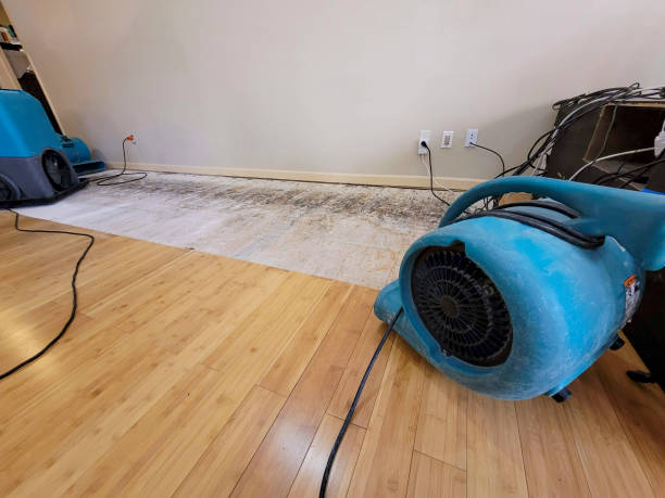 Reliable Basement Flood Cleanup contractor in Coloma, MI by Hirex Water Damage