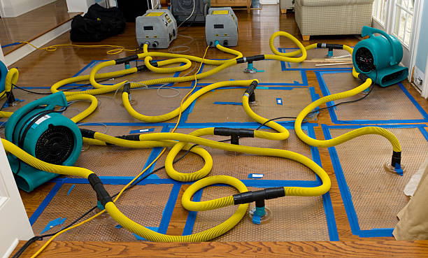 Professional Basement Flood Cleanup technician working in Coloma, MI